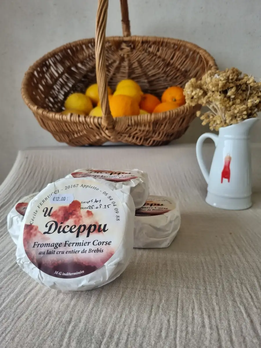 Fromage au lait de brebis U diceppu